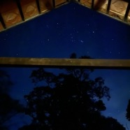 Orion from the cottage, Magnolia Mist, Coorg