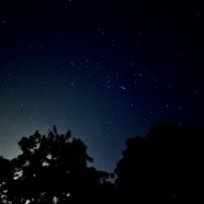 Night Sky, Magnolia Mist